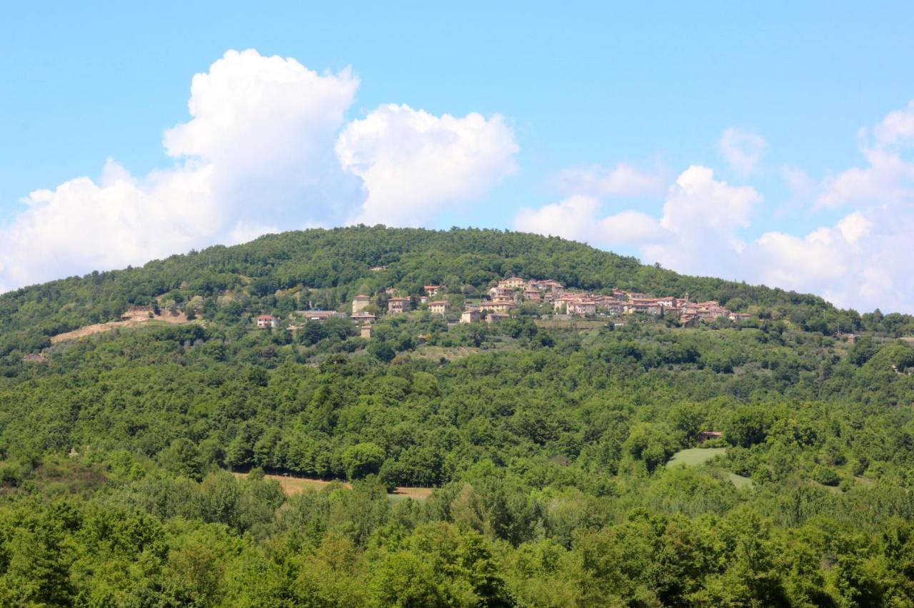 Agriturismo La Via Dell'Oliviera Ciciano Экстерьер фото